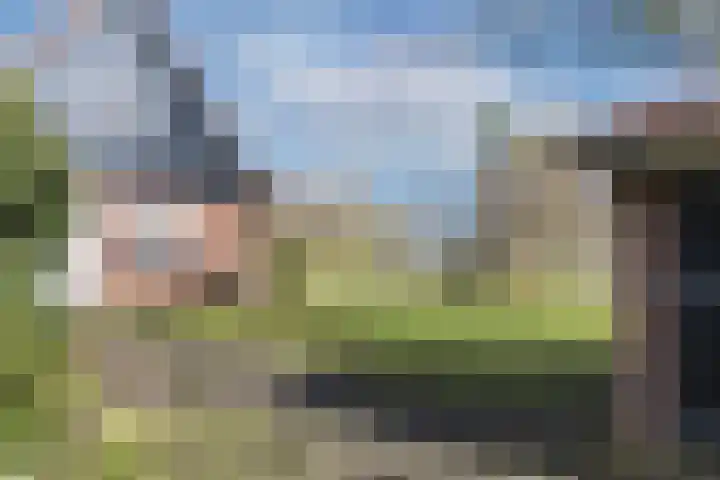 Nordhornsestraat 139 Denekamp thumbnail 75