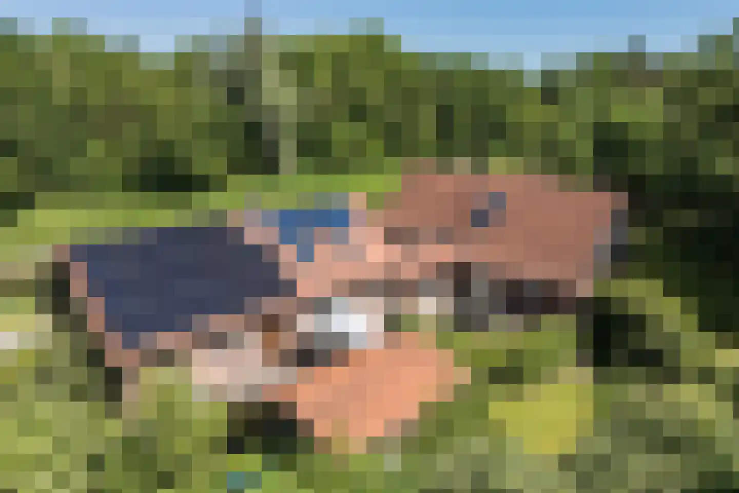 Nordhornsestraat 139 Denekamp thumbnail 75