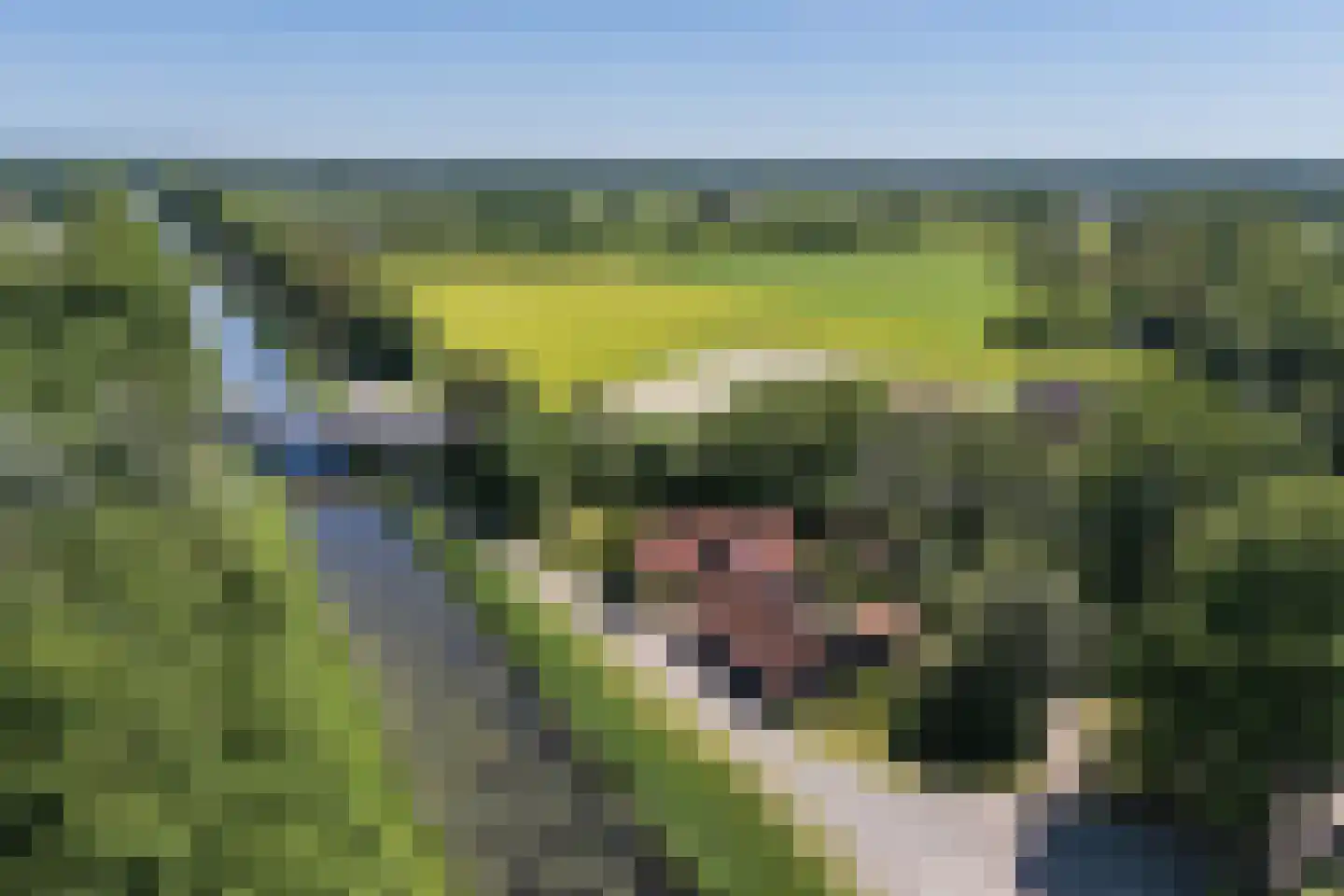 Nordhornsestraat 139 Denekamp thumbnail 77