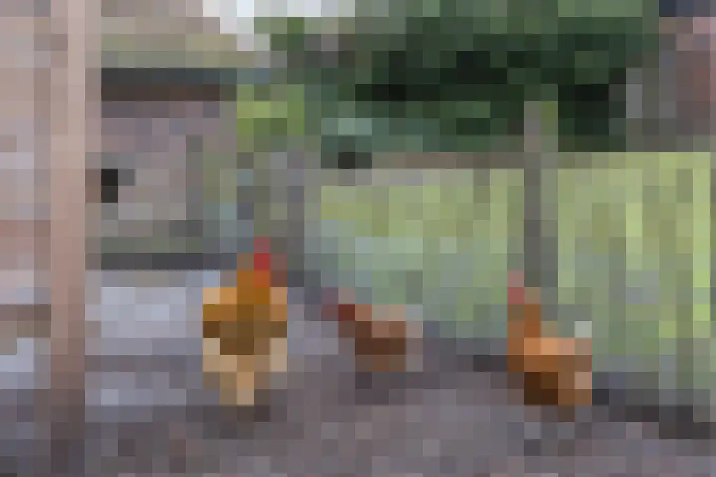 Nordhornsestraat 139 Denekamp thumbnail 77
