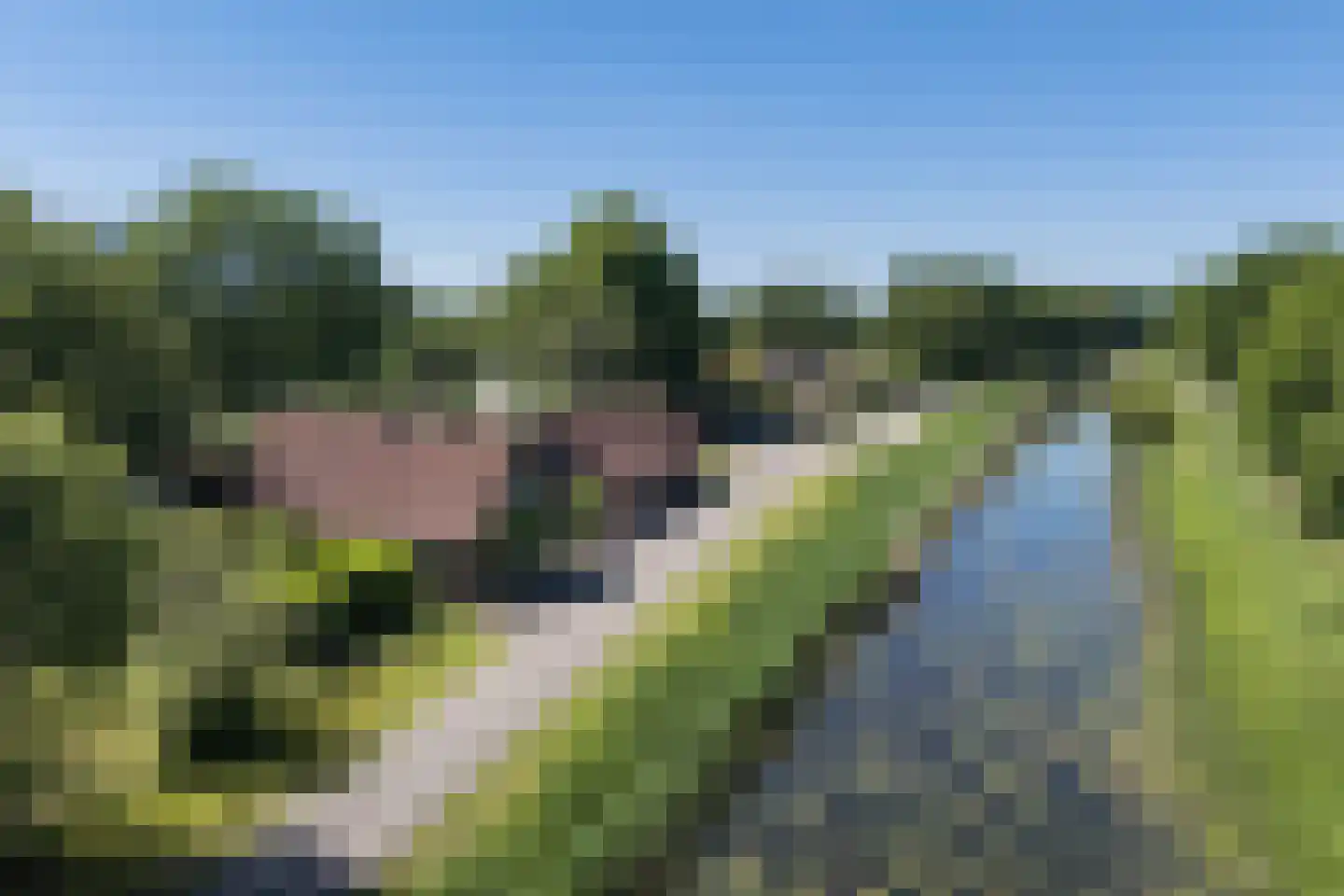 Nordhornsestraat 139 Denekamp thumbnail 78