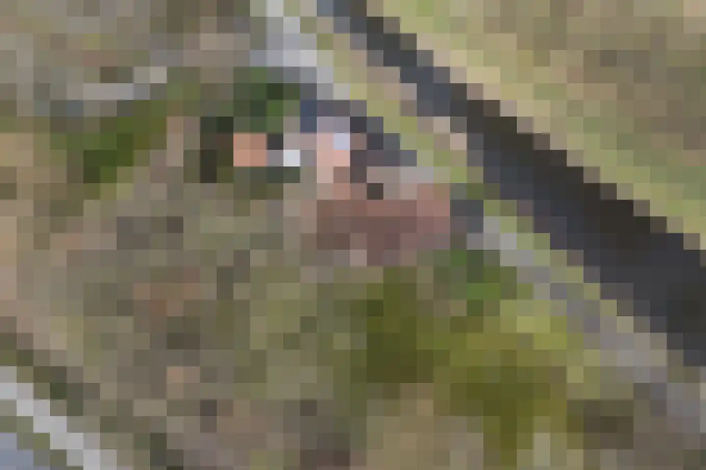 Nordhornsestraat 139 Denekamp thumbnail 79