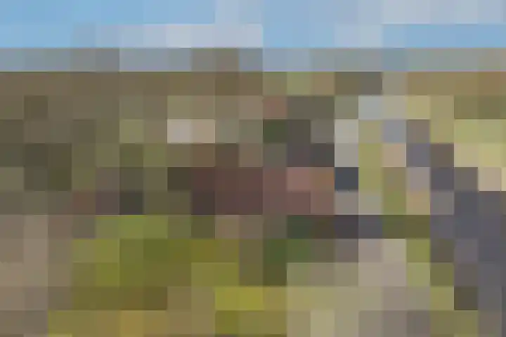 Nordhornsestraat 139 Denekamp thumbnail 82