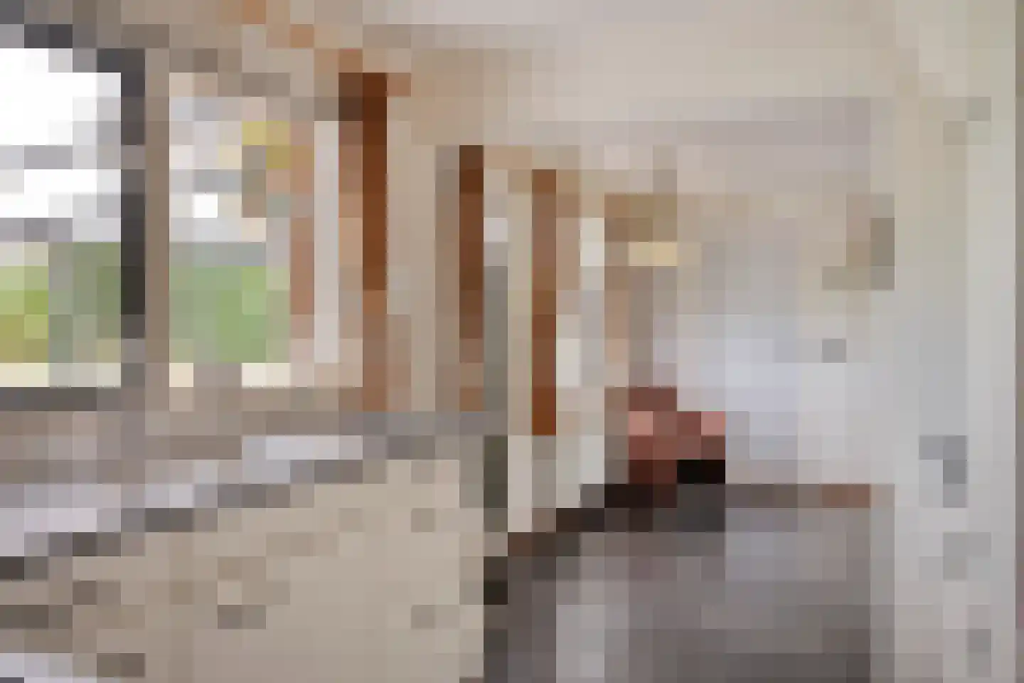 Nordhornsestraat 188 Denekamp thumbnail 10