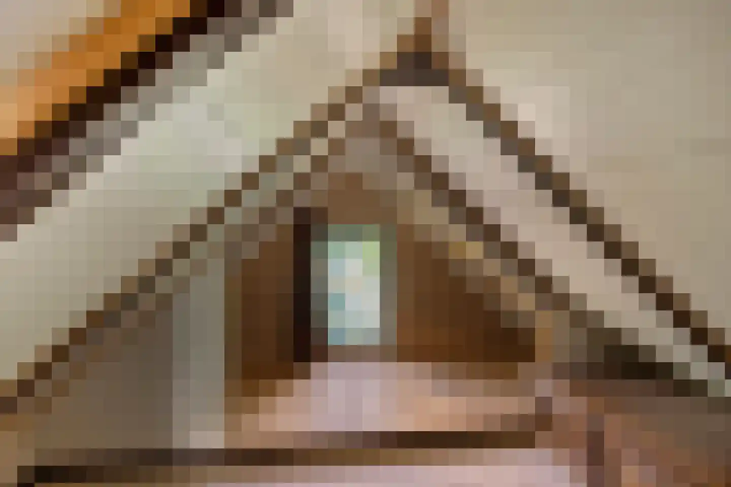 Nordhornsestraat 188 Denekamp thumbnail 15