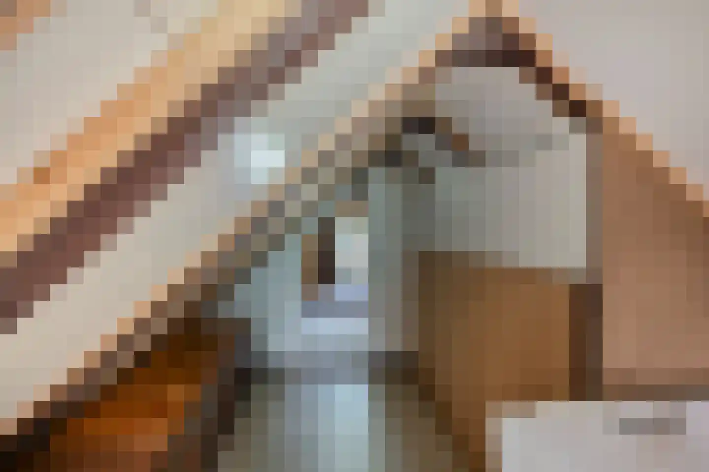 Nordhornsestraat 188 Denekamp thumbnail 16