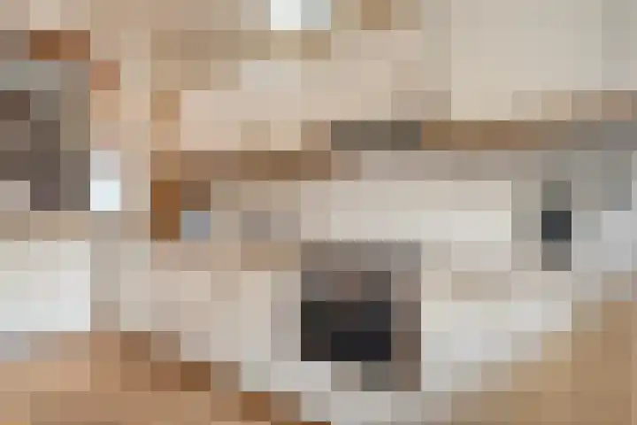 Nordhornsestraat 7 Denekamp thumbnail 12