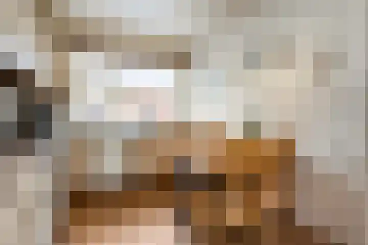 Nordhornsestraat 7 Denekamp thumbnail 13