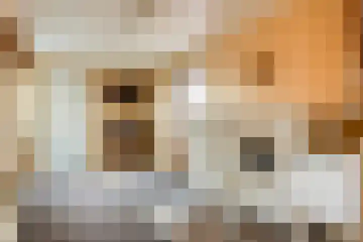 Nordhornsestraat 7 Denekamp thumbnail 14