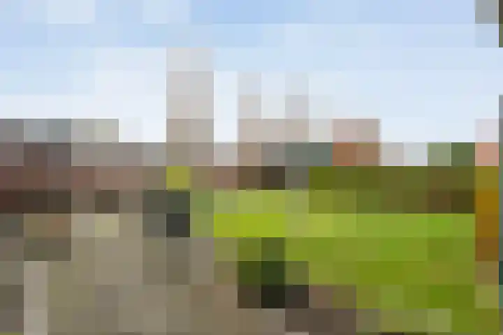 Nordhornsestraat 7 Denekamp thumbnail 24