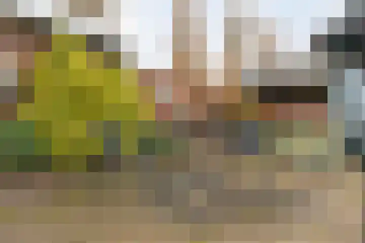 Nordhornsestraat 7 Denekamp thumbnail 27