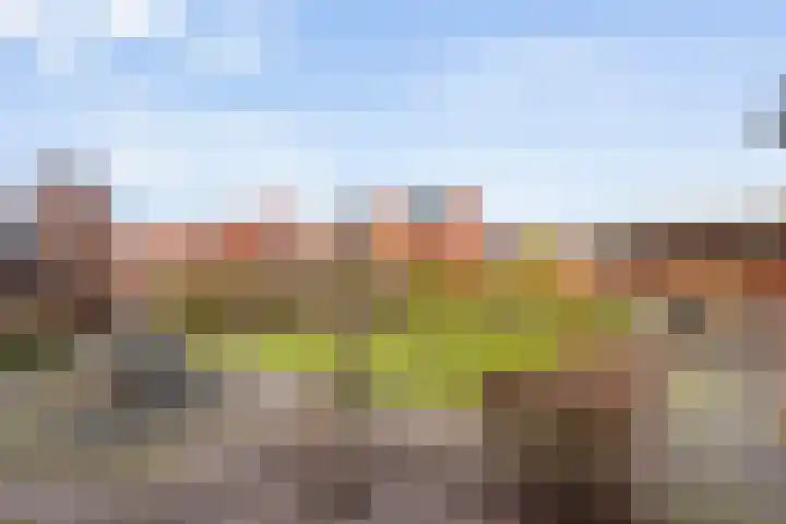 Nordhornsestraat 7 Denekamp thumbnail 4