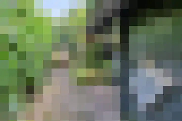 Nordhornsestraat 79 Denekamp thumbnail 24