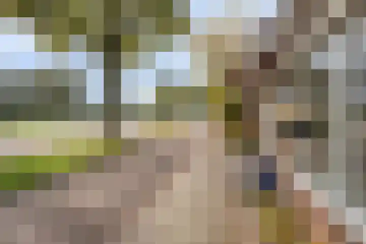 Nordhornsestraat 79 Denekamp thumbnail 30