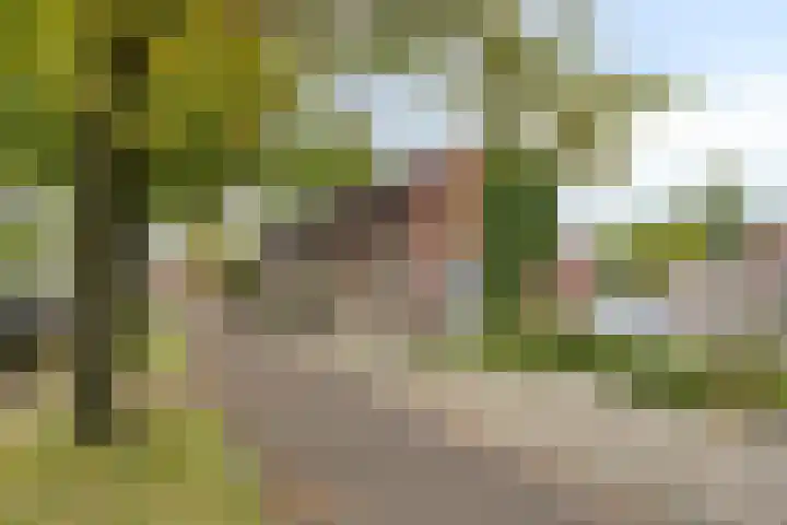 Nordhornsestraat 79 Denekamp thumbnail 31