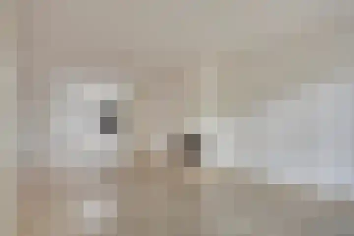 Nordhornsestraat 79 Denekamp thumbnail 5