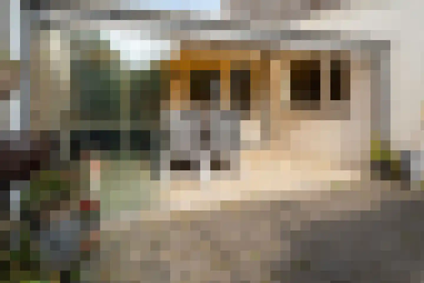 Nordhornstraat 14 Hengelo thumbnail 37