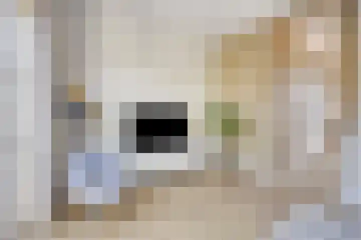 Nordlaan 24 Velp thumbnail 20