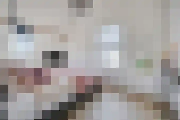 Nordlaan 24 Velp thumbnail 31