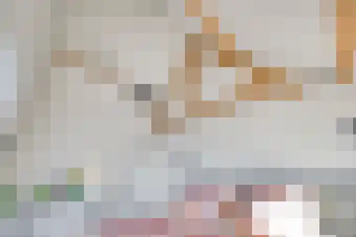 Nordlaan 24 Velp thumbnail 33