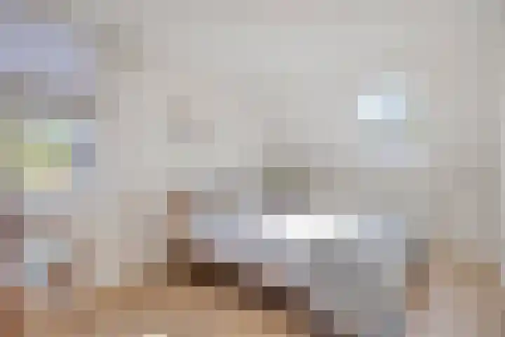 Nordlaan 24 Velp thumbnail 34