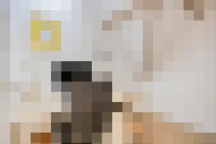 Nordlaan 24 Velp thumbnail 37