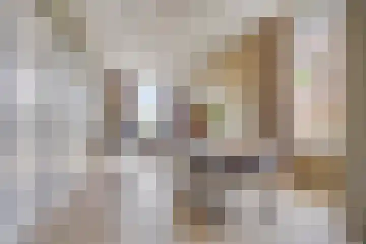 Nordlaan 24 Velp thumbnail 4