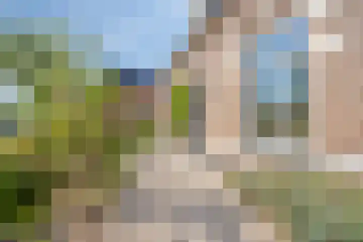 Nordlaan 24 Velp thumbnail 41