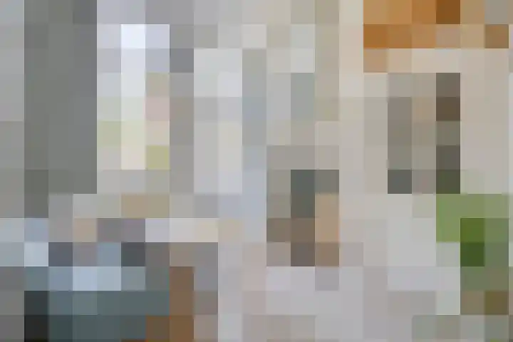 Nordlaan 24 Velp thumbnail 43