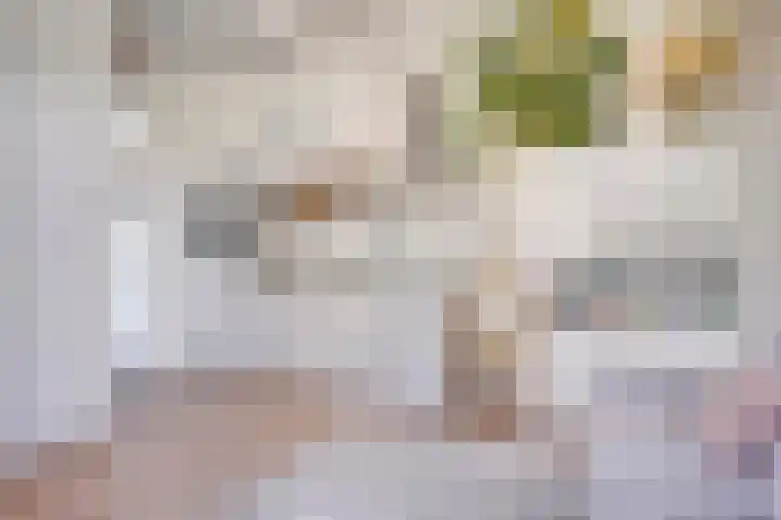 Nordlaan 24 Velp thumbnail 45