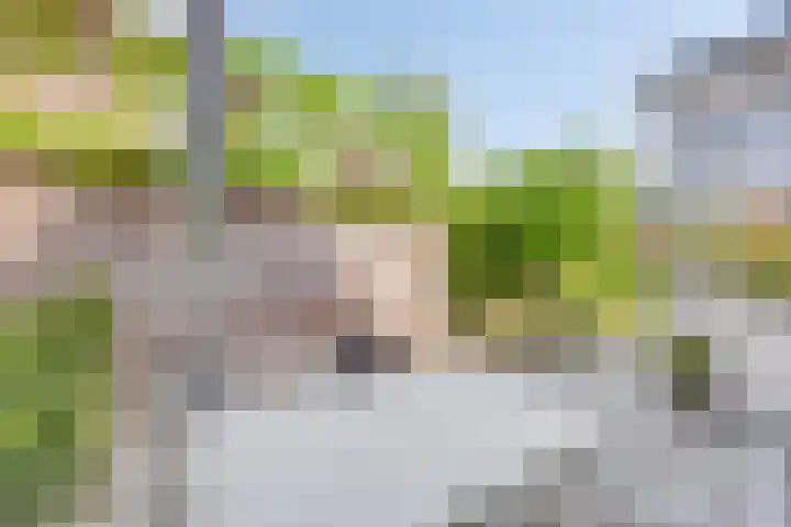 Nordlaan 24 Velp thumbnail 60