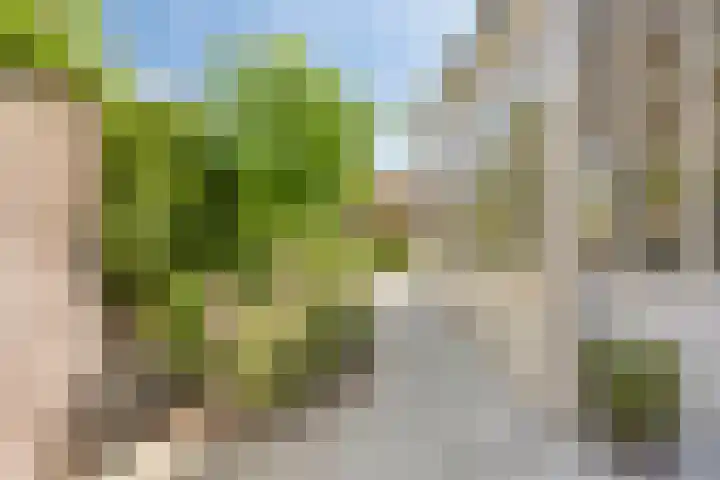 Nordlaan 24 Velp thumbnail 61