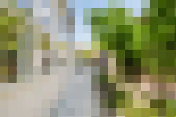 Nordlaan 24 Velp thumbnail 62