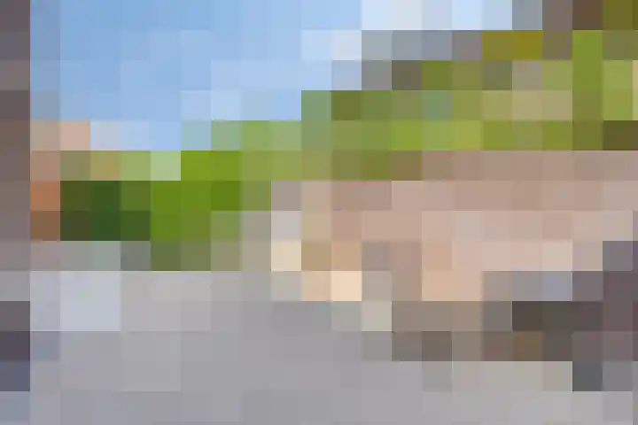 Nordlaan 24 Velp thumbnail 63
