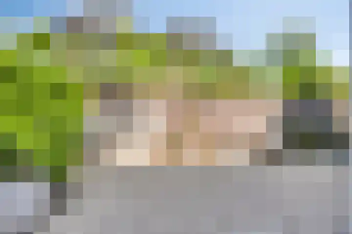 Nordlaan 24 Velp thumbnail 66