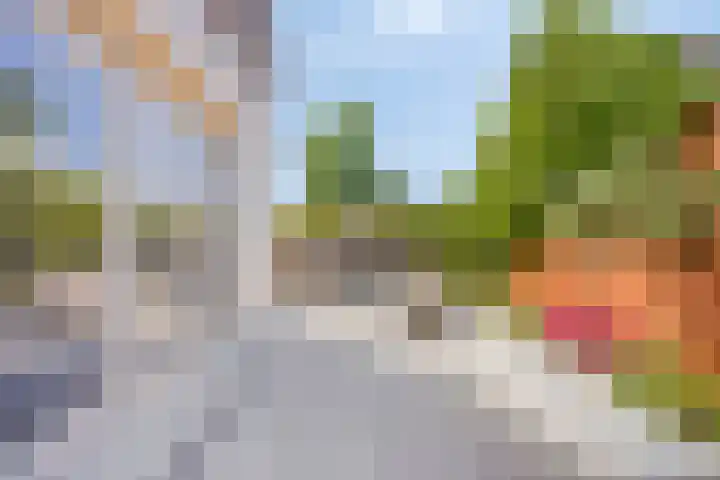 Nordlaan 24 Velp thumbnail 67