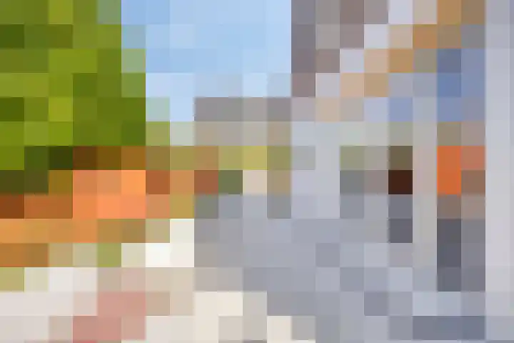 Nordlaan 24 Velp thumbnail 69