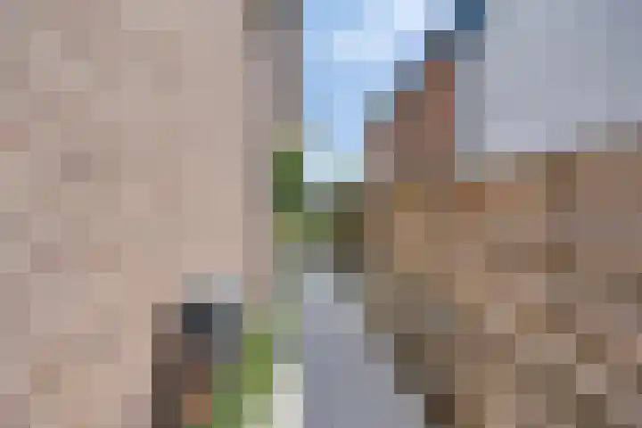 Nordlaan 24 Velp thumbnail 71