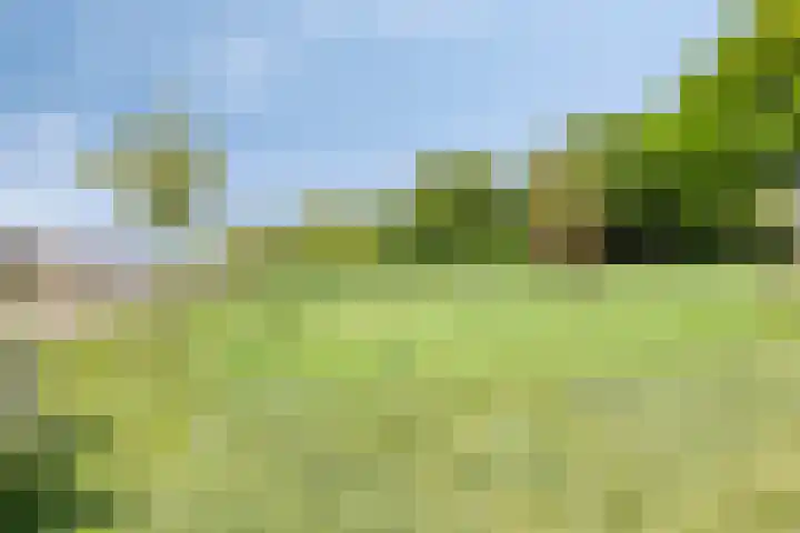 Nordlaan 24 Velp thumbnail 73