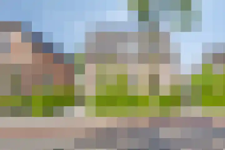 Nordlaan 24 Velp thumbnail 75