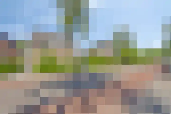 Nordlaan 24 Velp thumbnail 76