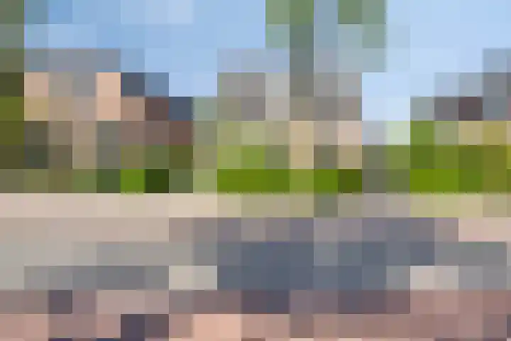Nordlaan 24 Velp thumbnail 77