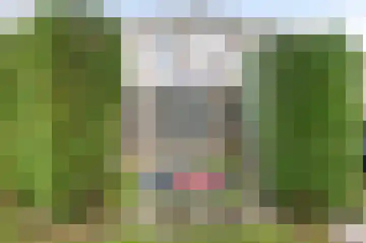 Nordlaan 25 Velp thumbnail 29