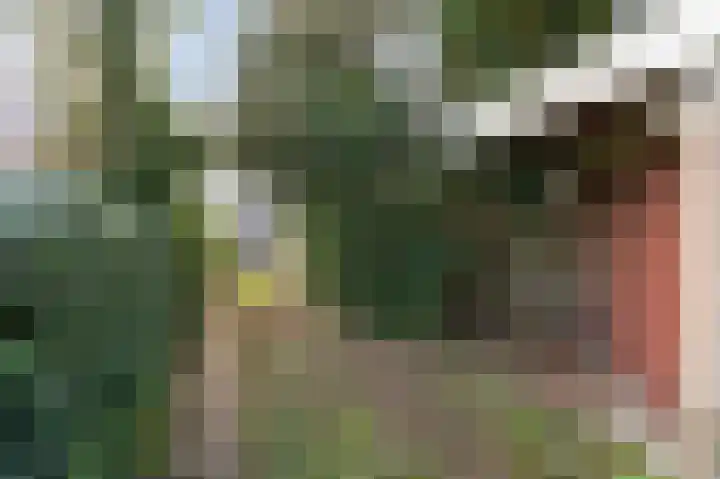 Nordlaan 25 Velp thumbnail 31