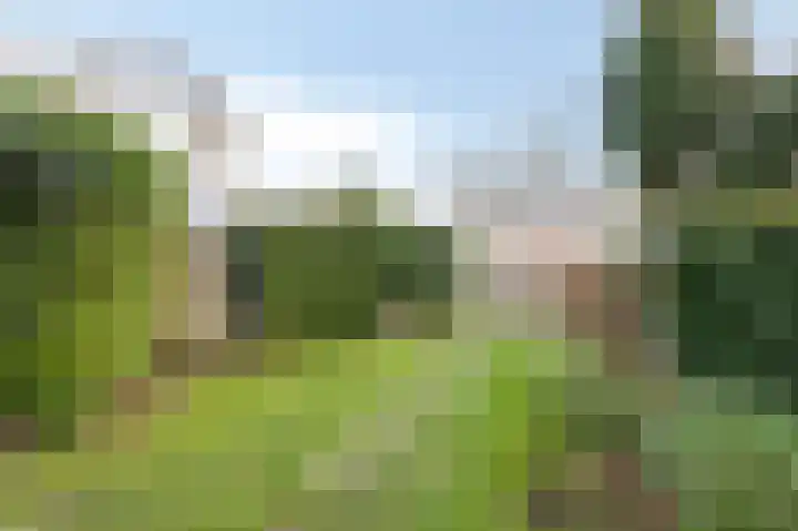 Nordlaan 25 Velp thumbnail 4