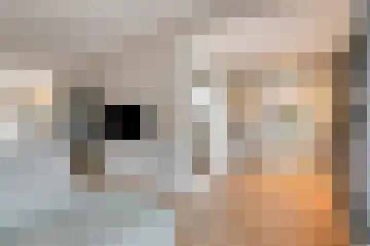 Nordlaan 25 Velp thumbnail 7