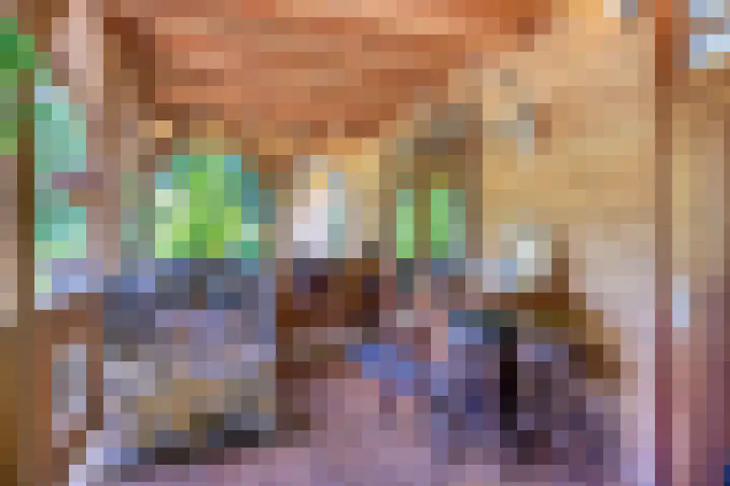 Norelholtweg 10 Epe thumbnail 10