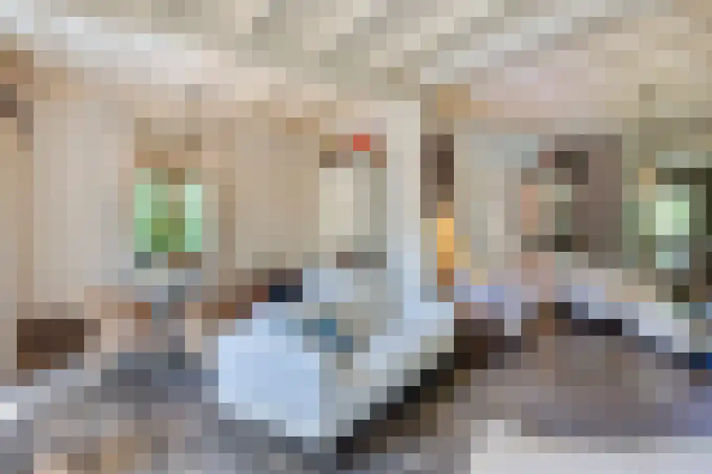 Norelholtweg 10 Epe thumbnail 15