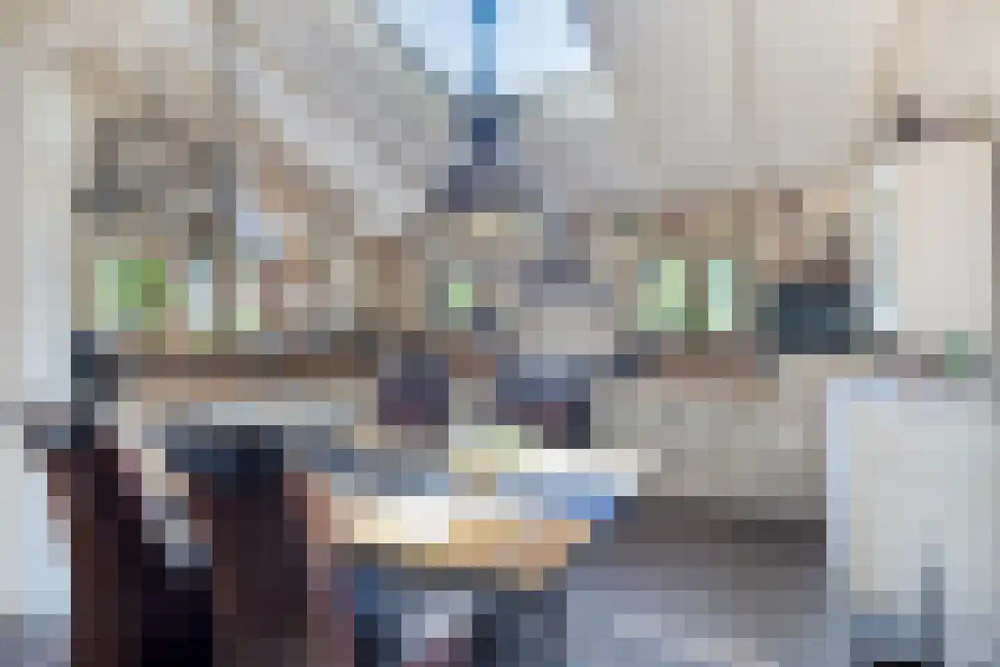 Norelholtweg 10 Epe thumbnail 17