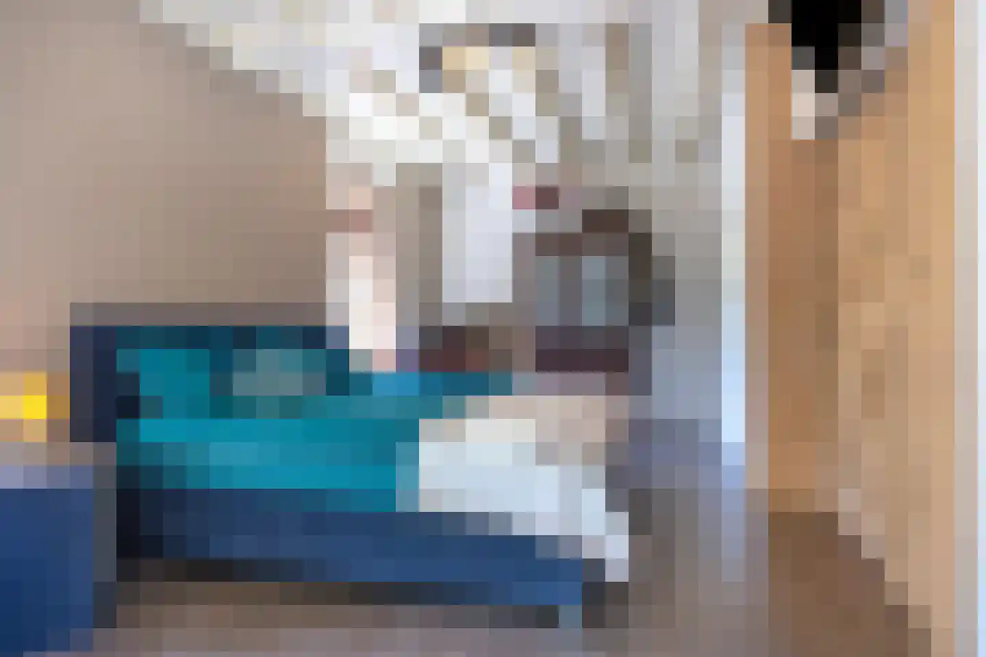 Norelholtweg 10 Epe thumbnail 26
